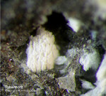 Eifel Mineralien Bellerberg Tobermorit