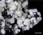 Eifel Mineralien Graulei Alumohydrocalcit