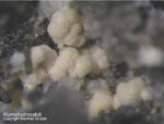 Eifel Mineralien Graulei Alumohydrocalcit