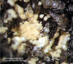 Eifel Mineralien Graulei Alumohydrocalcit