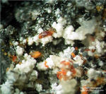 Eifel Mineralien Graulei Alumohydrocalcit