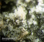 Eifel Mineralien Graulei Alumohydrocalcit