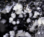 Eifel Mineralien Graulei Alumohydrocalcit