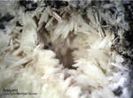 Eifel Mineralien Graulei Aragonit