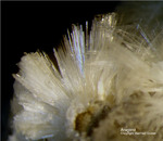Eifel Mineralien Graulei Aragonit