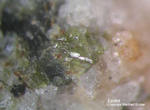 Eifel Mineralien Mendig Epidot