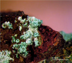 Siebengebirge Mineralien Rheinbreitbach Antlerit
