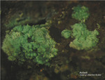 Siebengebirge Mineralien Rheinbreitbach Antlerit