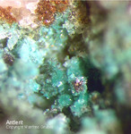 Siebengebirge Mineralien Rheinbreitbach Antlerit
