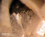 Siebengebirge Mineralien Rheinbreitbach Bergkristall Quarz