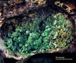 Siebengebirge Mineralien Rheinbreitbach Brochantit