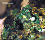Siebengebirge Mineralien Rheinbreitbach Brochantit