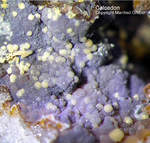 Siebengebirge Mineralien Rheinbreitbach Chalcedon