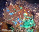 Siebengebirge Mineralien Rheinbreitbach Connellit