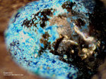 Siebengebirge Mineralien Rheinbreitbach Connellit