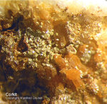Siebengebirge Mineralien Rheinbreitbach Corkit