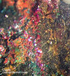 Siebengebirge Mineralien Rheinbreitbach Cuprit