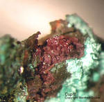 Siebengebirge Mineralien Rheinbreitbach Cuprit