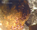 Siebengebirge Mineralien Rheinbreitbach Cuprit