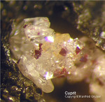 Siebengebirge Mineralien Rheinbreitbach Cuprit