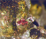Siebengebirge Mineralien Rheinbreitbach Cuprit