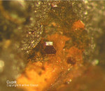 Siebengebirge Mineralien Rheinbreitbach Cuprit