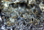Siebengebirge Mineralien Rheinbreitbach Ferrobustamit