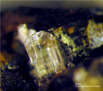 Siebengebirge Mineralien Rheinbreitbach Gips