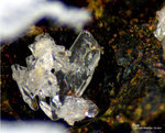 Siebengebirge Mineralien Rheinbreitbach Gips