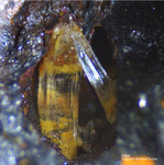 Siebengebirge Mineralien Rheinbreitbach Gips