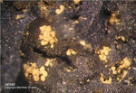 Siebengebirge Mineralien Rheinbreitbach Jarosit
