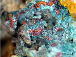 Siebengebirge Mineralien Rheinbreitbach Kupfer