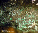 Siebengebirge Mineralien Rheinbreitbach Malachit