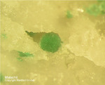 Siebengebirge Mineralien Rheinbreitbach Malachit