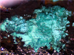 Siebengebirge Mineralien Rheinbreitbach Malachit