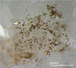 Siebengebirge Mineralien Rheinbreitbach Goethit