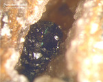 Siebengebirge Mineralien Rheinbreitbach Pseudomalachit