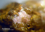 Siebengebirge Mineralien Rheinbreitbach Rhodochrosit