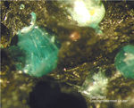 Siebengebirge Mineralien Rheinbreitbach Serpierit