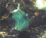 Siebengebirge Mineralien Rheinbreitbach Serpierit