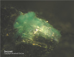 Siebengebirge Mineralien Rheinbreitbach Serpierit