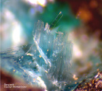 Siebengebirge Mineralien Rheinbreitbach Serpierit
