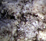 Mineralien Eifel Bellerberg Anorthit