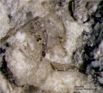 Mineralien Eifel Bellerberg Anorthit