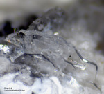 Mineralien Eifel Bellerberg Anorthit