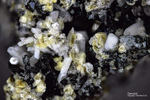 Eifel Mineralien Bellerberg Cancrinit