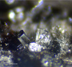 Eifel Mineralien Bellerberg Cancrinit