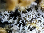Eifel Mineralien Bellerberg Cancrinit