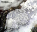 Eifel Mineralien Bellerberg Hydrocalumit