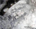 Eifel Mineralien Bellerberg Hydrocalumit